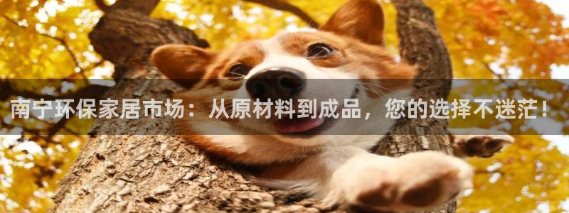 沐鸣平台地址：南宁环保家居市场：从原材料到成品，您的选择不迷