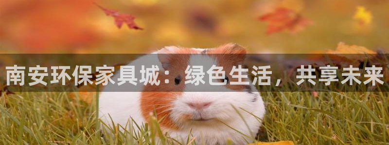 沐鸣平台官方登陆