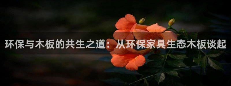 沐鸣注册开户：环保与木板的共生之道：从环保家具生态木板谈起