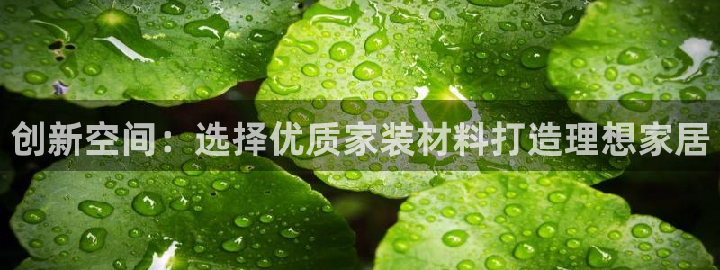 沐鸣平台线路测试：创新空间：选择优质家装材料打造理想家居
