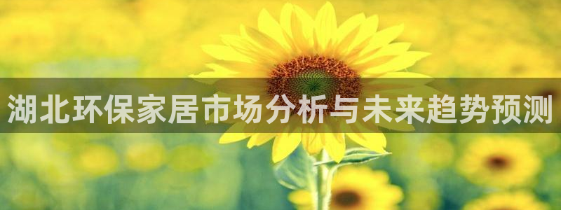 沐鸣平台代理注册：湖北环保家居市场分析与未来趋势预测