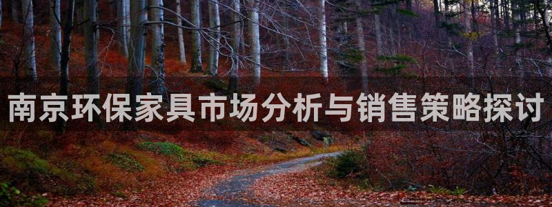 沐鸣代理日工资多少：南京环保家具市场分析与销售策略探讨