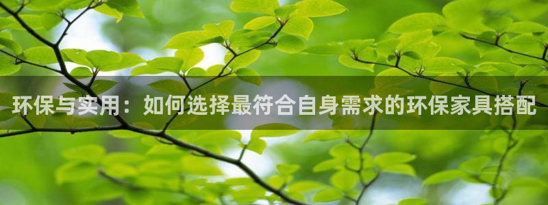 沐鸣平台登录网站：环保与实用：如何选择最符合自身需求的环保家