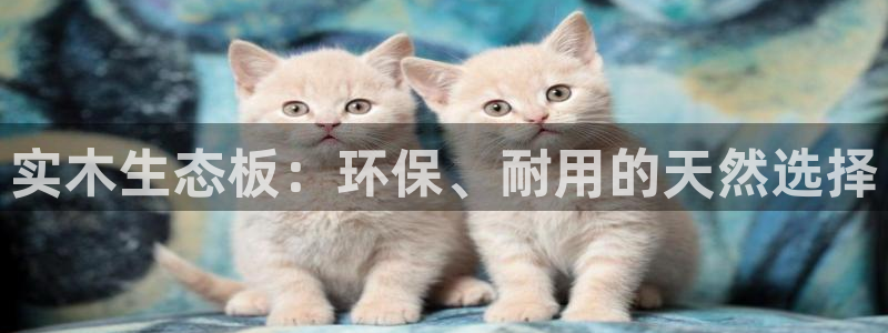 沐鸣登入官网：实木生态板：环保、耐用的天然选择