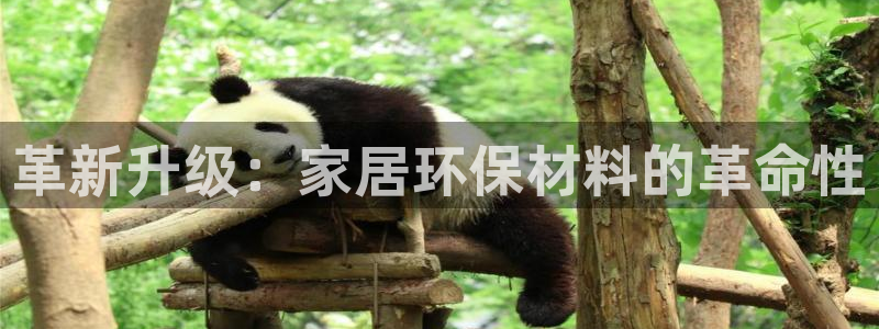 沐鸣平台分红：革新升级：家居环保材料的革命性