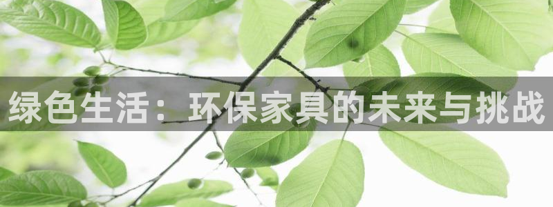 沐鸣官网登陆
