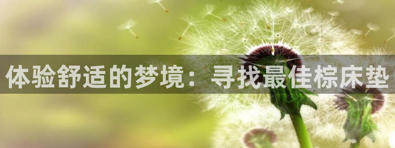 沐鸣平台娱乐登陆